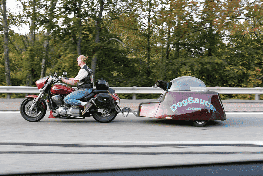 the dog saucer motorcycle trailer